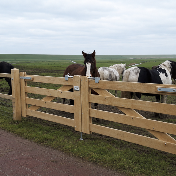 Eikenhouten poort bij paardenweide met robuuste eiken omheining